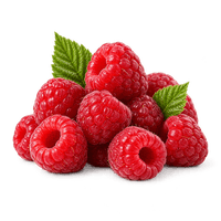 HOFER MARKTPLATZ Gourmet Himbeeren