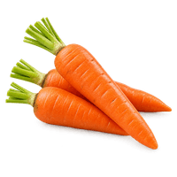 Bio-Snackkarotten