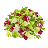 clever Yaprak salata karışımı