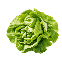 Da komm’ ich her! Häuptelsalat