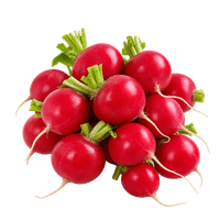 Da komm’ ich her! snack radishes