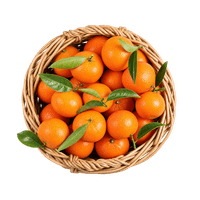 Satsumas Klasse 1