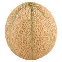 SPAR Cantaloupe Melone 1 piece