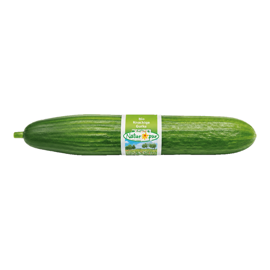 Gurke aus Österreich