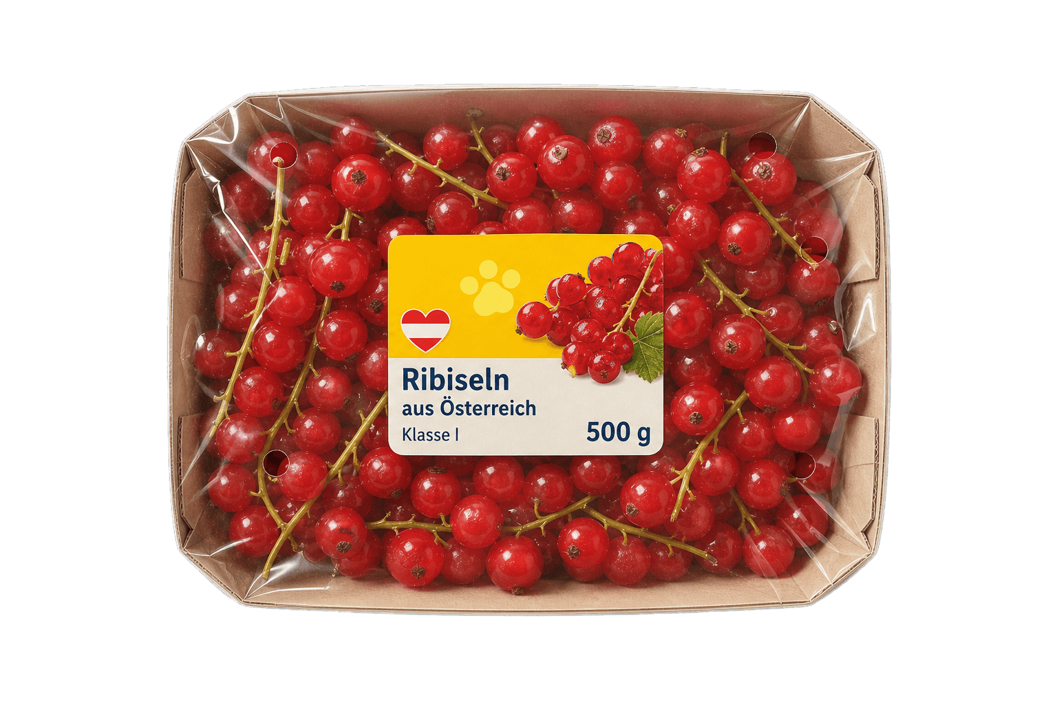 Ribiseln Österreich