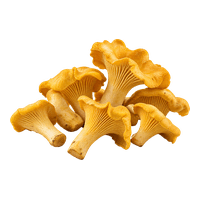 Chanterelles (Eierschwammerl)