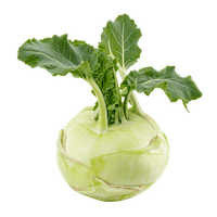 kohlrabi