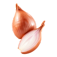 Schalotten