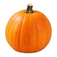 HALLOWEEN Pumpkin 3–5 kg, flesh edible