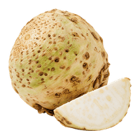 Ich bin Österreich Bio kereviz kökü