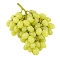 Sultana grapes from Turkey, class 1