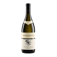 Muster Reinhard Sauvignon Blanc Illyr 2024
