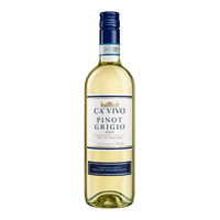 CA' VIVO Pinot Grigio DOC ili SOAVE DOC