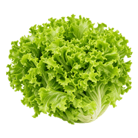 Grazer Salat