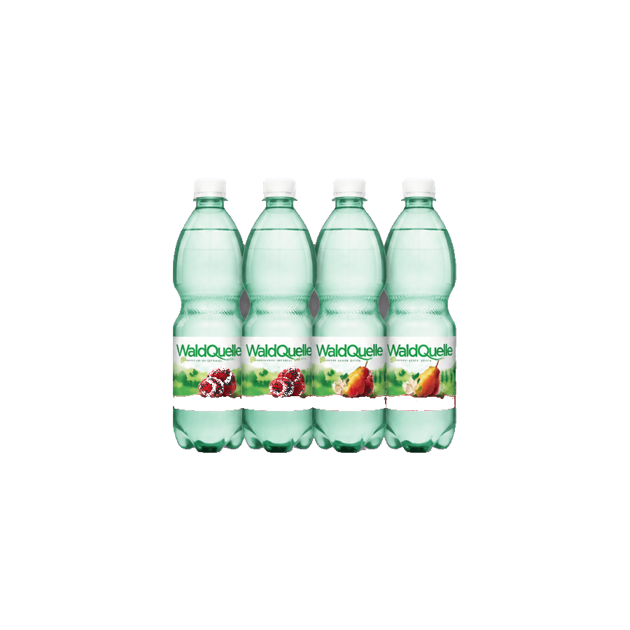 Waldquelle mineral water with fruit