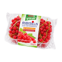 SPAR Vital Ribisel rot