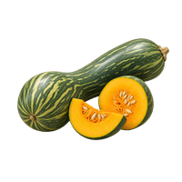 SPAR Natur*pur organic pumpkin Langer von Neapel