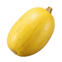 SPAR Natur*pur organic spaghetti squash