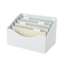 rotho Dokumentorganizer Inbox MY PAPER Inbox mistletoe-weiß