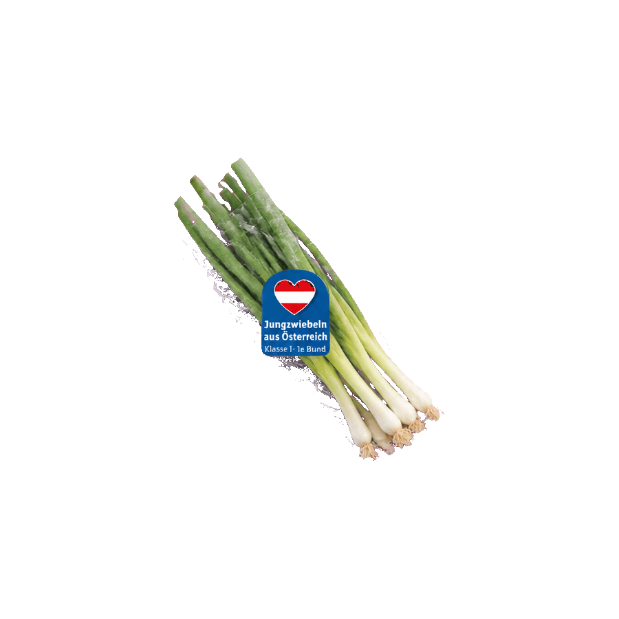 Spring onions from Austria