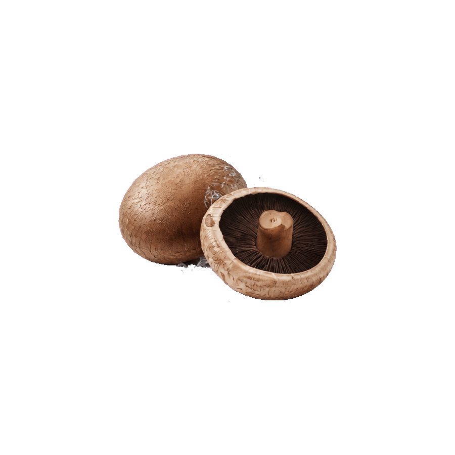 Portobello gombák
