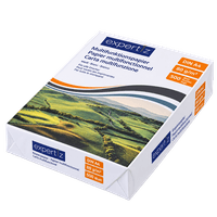 EXPERTIZ Kopierpapier 500 Blatt