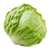 Da komm' ich her! Eissalat