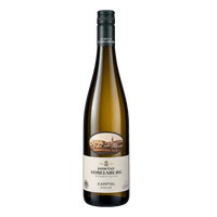 Domäne Gobelsburg Riesling Kamptal DAC 2025