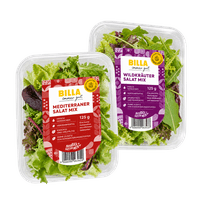 BILLA immer gut Mediterraner Salat-Mix oder Wildkräuter-Salat-Mix