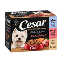Cesar Hundetrockennahrung Huhn & Lachs oder Rind & Geflügel