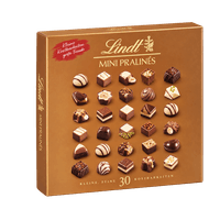 Lindt Mini pralines assorted varieties 143–150 g