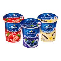 Tirol Milch Fruchtjoghurt div. Sorten
