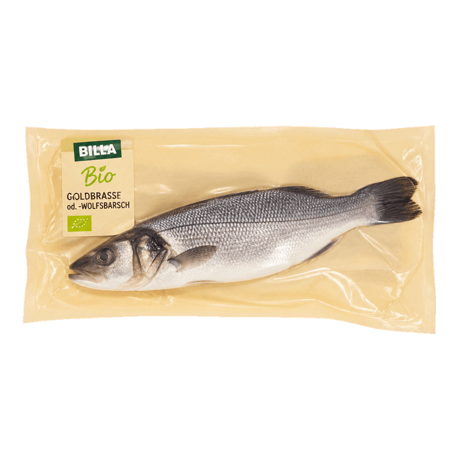 Sea bass XXL